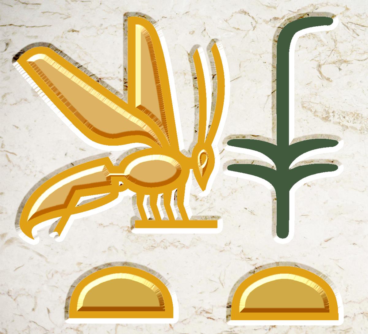 nswt-bity hieroglyphs